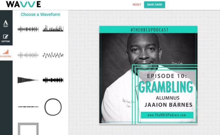 Wavve Audio Animations